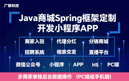 java商城Spring框架定制开发小程序APP网站建设