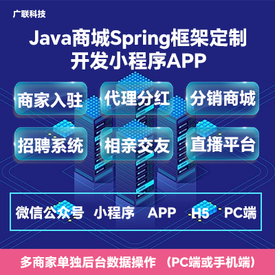 java商城Spring框架定制开发小程序APP网站建设