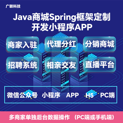 java商城Spring框架定制開發(fā)小程序APP網(wǎng)站建設