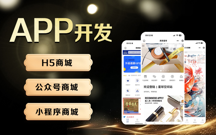 東莞市十方云分銷系統(tǒng)高端定制