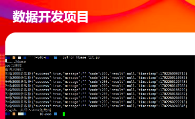 知名公司數(shù)據(jù)開發(fā)項目