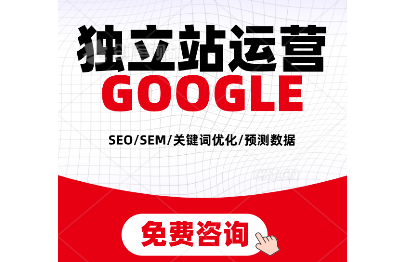 Google SEO SEM 独立站关键词优化 计划预测