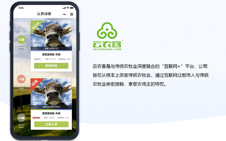 APPUI设计触摸大屏网页软件小程序网站开发卡通