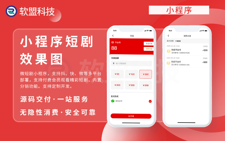 软盟科技-精选服务商