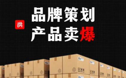 品牌策划品牌故事品牌定位产品创意文案广告语全案策划