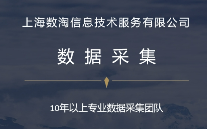 上海數(shù)淘信息技術(shù)服務(wù)有限公司