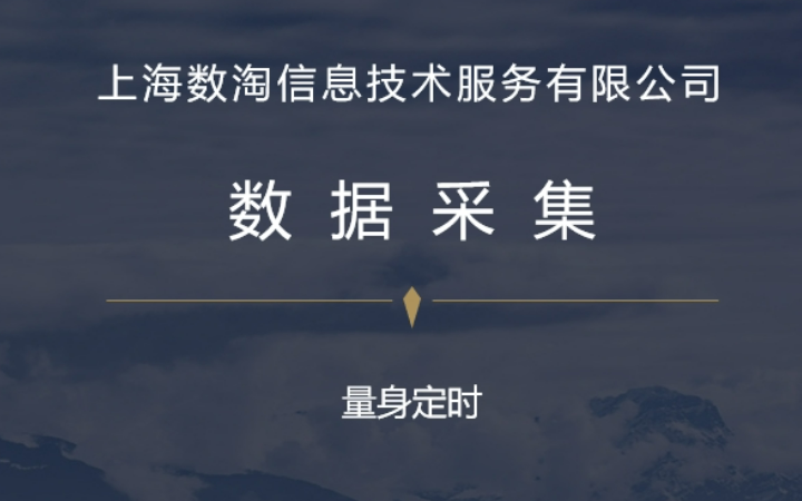 上海數(shù)淘信息技術(shù)服務(wù)有限公司