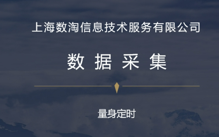 上海數(shù)淘信息技術(shù)服務(wù)有限公司