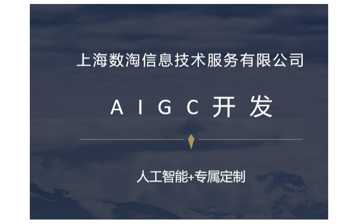 上海數(shù)淘信息技術(shù)服務(wù)有限公司