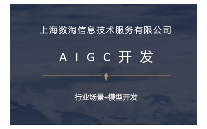 上海數(shù)淘信息技術(shù)服務(wù)有限公司