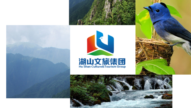 重慶湖山集團(tuán)LOGO設(shè)計