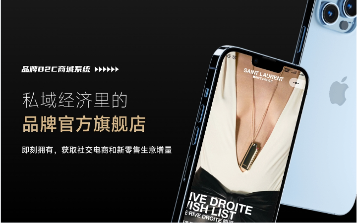 麦蒙科技-十年专注开发