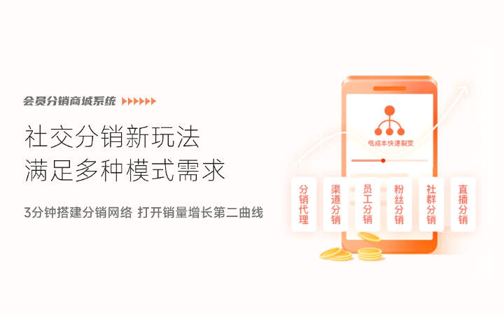 麦蒙科技-十年专注开发