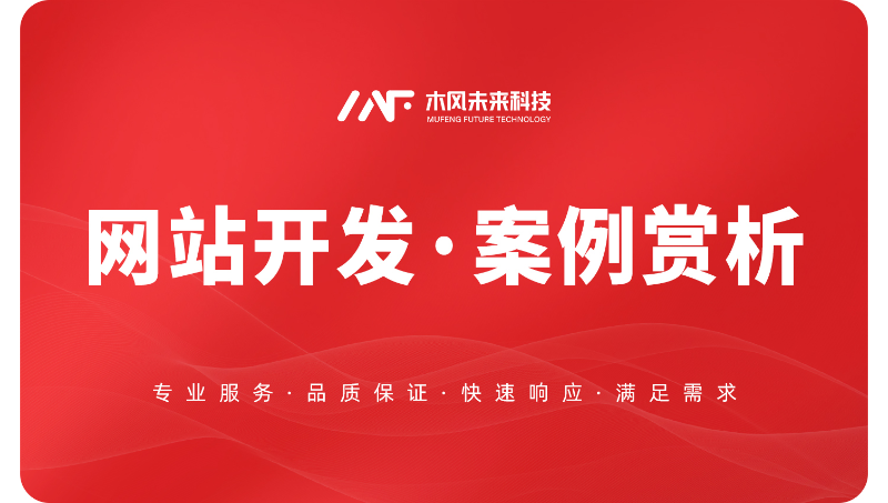网站建设开发政企门户网站电商社交综合资讯信息官网展示