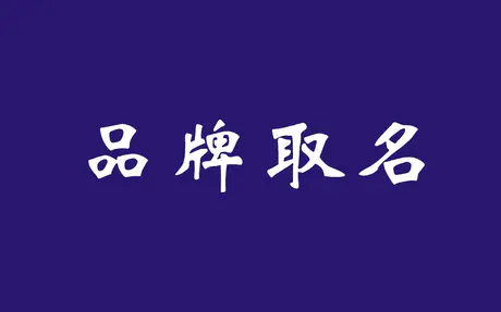 店铺 公司 产品 专业取名