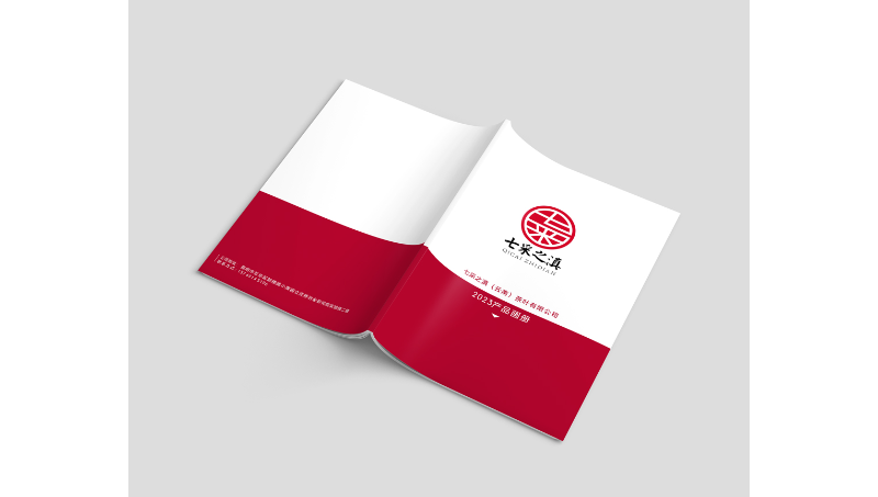 企業(yè)畫冊(cè)/公司宣傳冊(cè)/招商手冊(cè)/產(chǎn)品畫冊(cè)/創(chuàng)意畫冊(cè)
