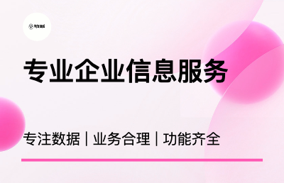 公司、工廠信息管理系統(tǒng)；公司網(wǎng)站建設(shè)
