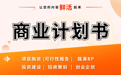 BP商业计划书品牌营销策划方案可行性方案路演汇报