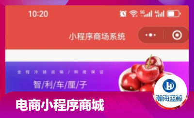 【專業(yè)開發(fā)團(tuán)隊】電商小程序商城