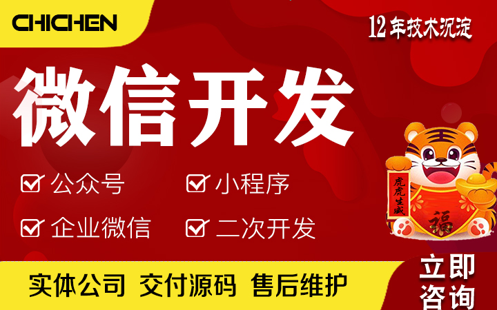 赤辰-13年定制二開技術(shù)團(tuán)隊