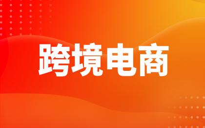 跨境电商网站开发广州系统武汉电商平台网上积分商城分销潍坊