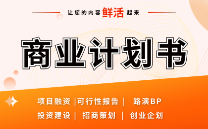 文案创业商业计划书策划书招商项目路演方案BP撰写作