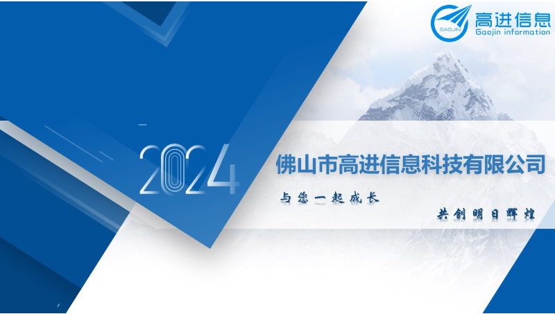 關(guān)于某企業(yè)的項(xiàng)目介紹
