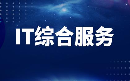 IT综合服务北京IT运维广州网站维护系统部署小程序APP