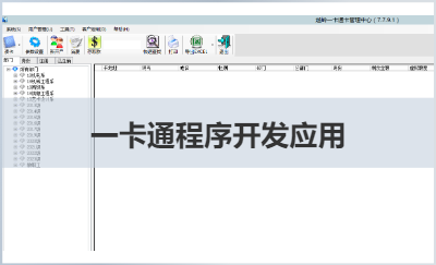 一卡通管理软件开发；API接口开发及应用.