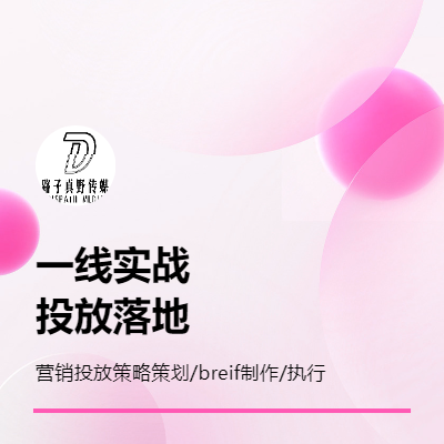 5年一線投放策略策劃落地執(zhí)行達人營銷效果廣告