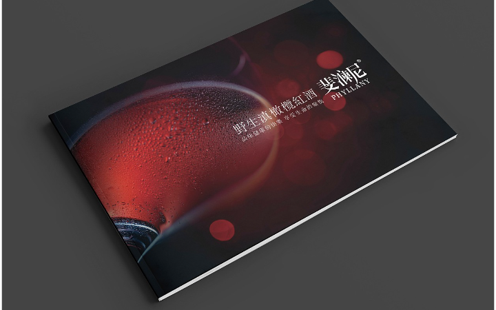 智加設(shè)計(jì)創(chuàng)新集團(tuán)