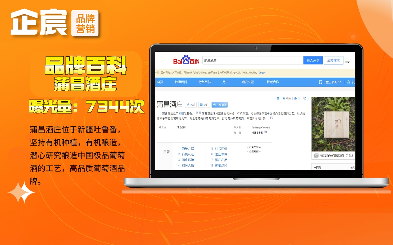 企宸网络营销策划