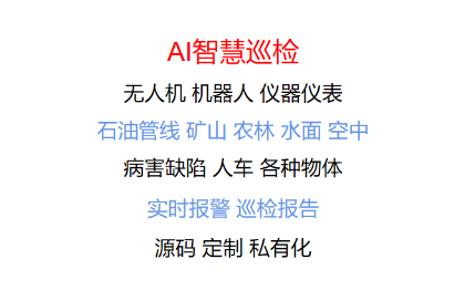 智慧巡检无人机-病害缺陷检测识别-计算机视觉图像AI算法