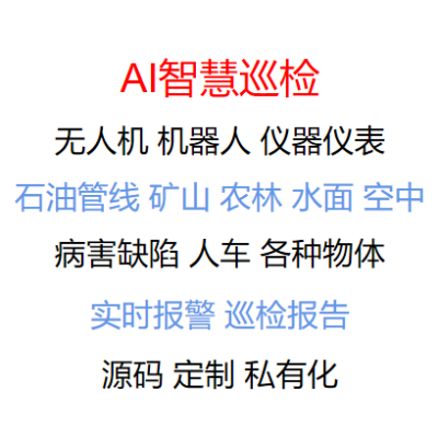 智慧巡檢無人機(jī)-病害缺陷檢測(cè)識(shí)別-計(jì)算機(jī)視覺圖像AI算法