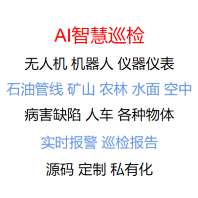 智慧巡检无人机-病害缺陷检测识别-计算机视觉图像AI算法