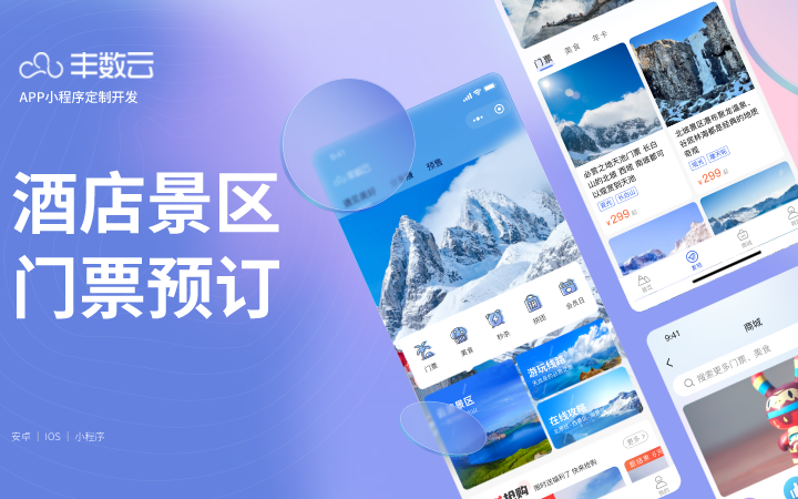 豐數(shù)網(wǎng)絡(luò)-互聯(lián)網(wǎng)技術(shù)專家