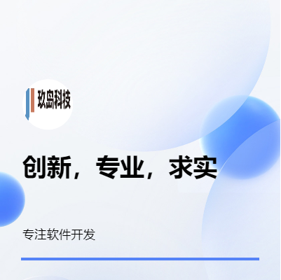 上海玖岛网站开发小程序开发