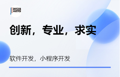 上海玖岛网站开发小程序开发