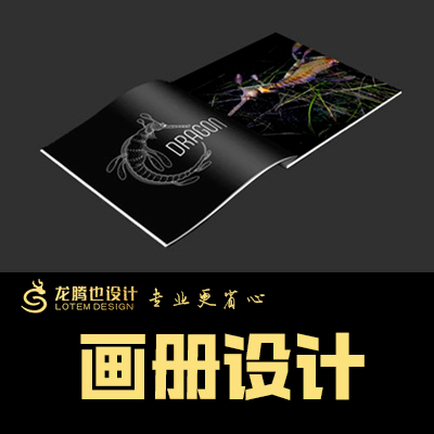 企业宣传画册<hl>公司</hl>介绍画册品牌推广招商加盟手册商务地推画册