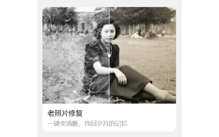 臺磊