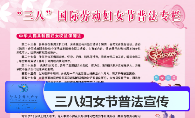 關(guān)于三八婦女節(jié)普法宣傳