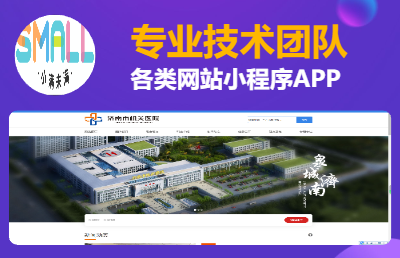 专业技术团队，各类网站开发建设、小程序、APP、H5