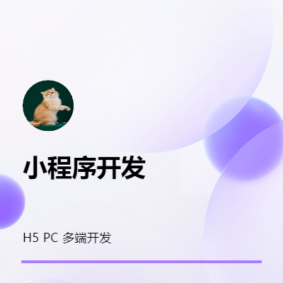 擅長(zhǎng)微信小程序開(kāi)發(fā)，開(kāi)發(fā)周期短