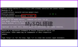 搭建一套MySQL数据库