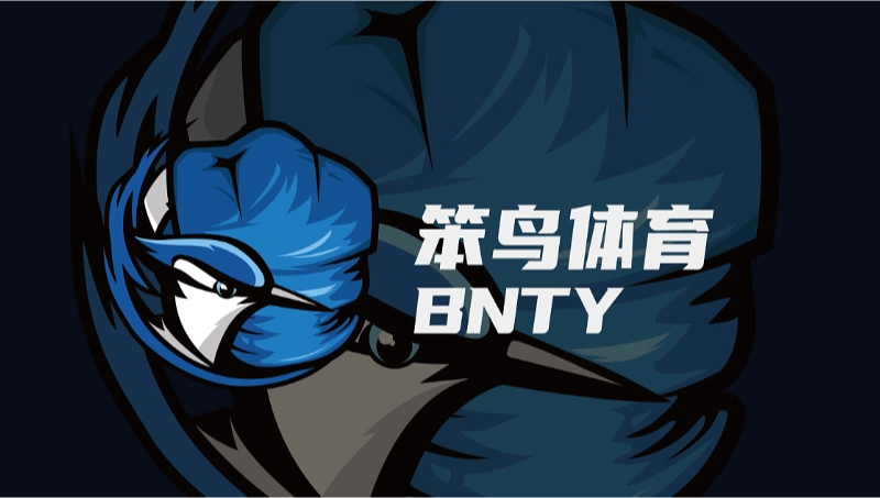 笨鳥體育-拳擊用品logo設計