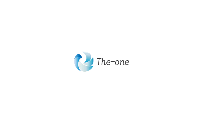 The-one-store
