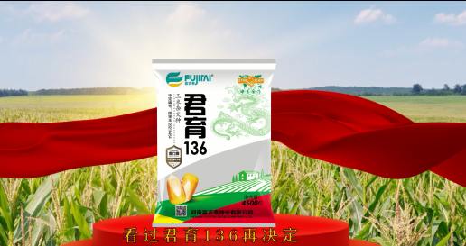 大腳夢(mèng)工廠