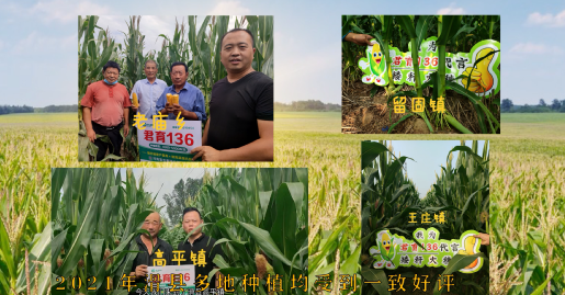 大腳夢(mèng)工廠