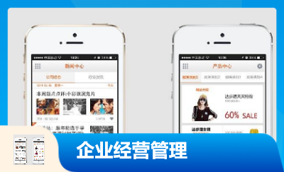 企業(yè)經(jīng)營管理軟件開發(fā)