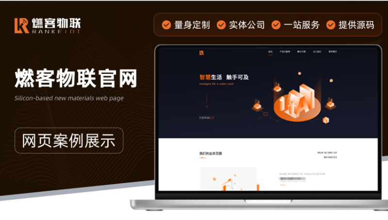 企業(yè)官網(wǎng)/網(wǎng)站定制開發(fā)